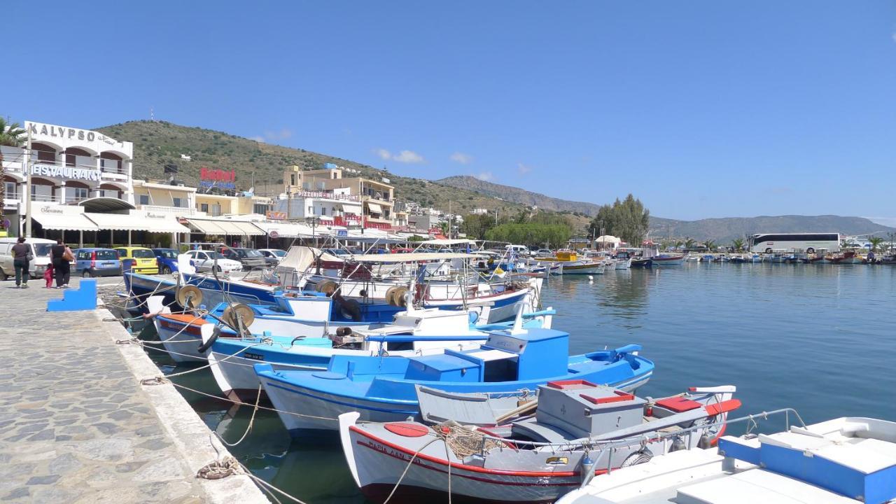 Grapevines Villas Makrygialos Extérieur photo