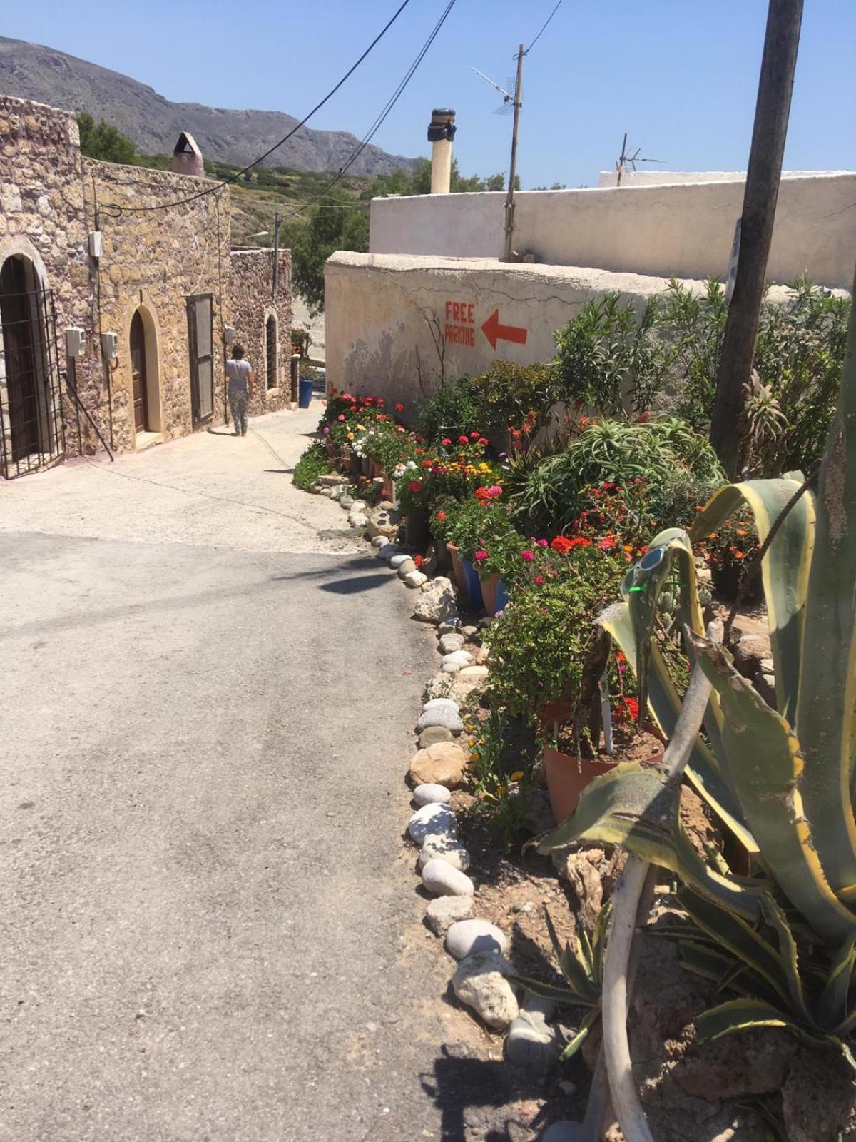 Grapevines Villas Makrygialos Extérieur photo